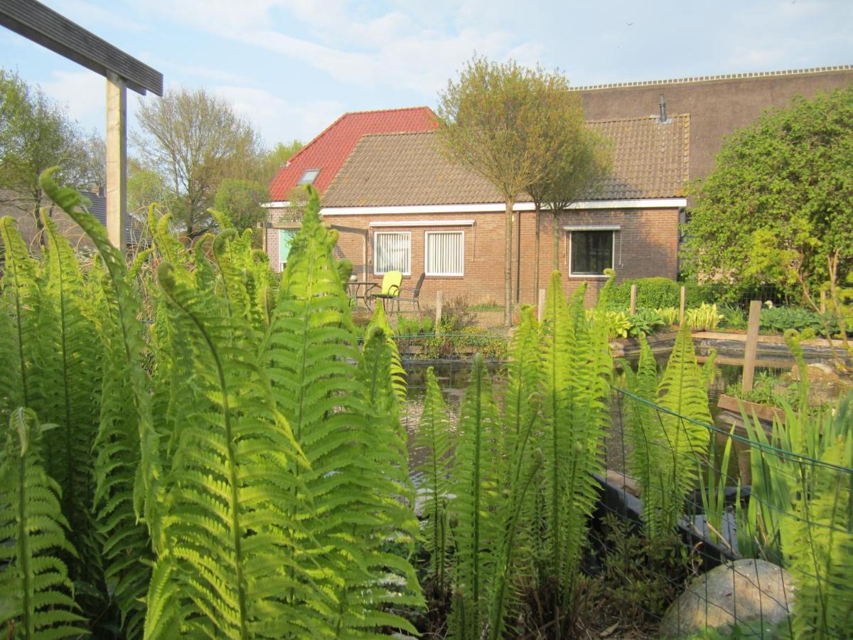 B&B Kleintje Eleveld Exterior photo